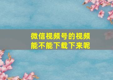 微信视频号的视频能不能下载下来呢