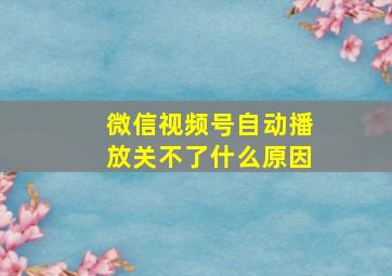 微信视频号自动播放关不了什么原因