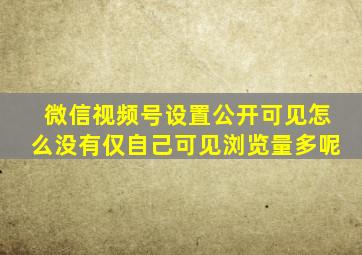 微信视频号设置公开可见怎么没有仅自己可见浏览量多呢