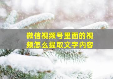 微信视频号里面的视频怎么提取文字内容