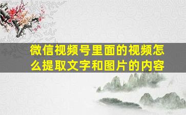 微信视频号里面的视频怎么提取文字和图片的内容