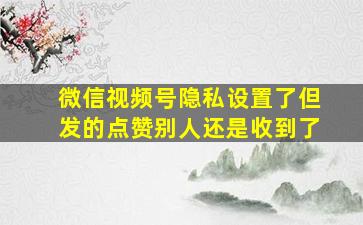 微信视频号隐私设置了但发的点赞别人还是收到了