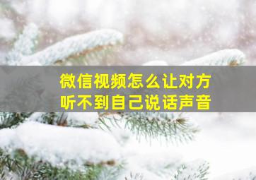 微信视频怎么让对方听不到自己说话声音