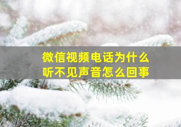 微信视频电话为什么听不见声音怎么回事