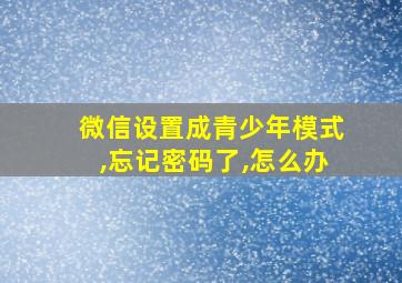 微信设置成青少年模式,忘记密码了,怎么办