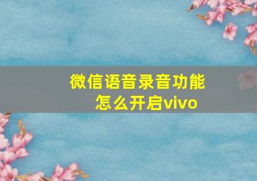 微信语音录音功能怎么开启vivo