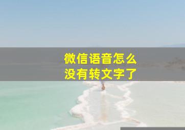 微信语音怎么没有转文字了