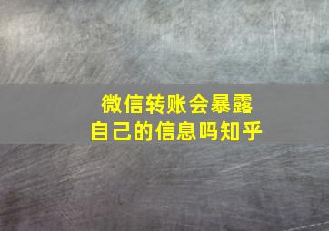 微信转账会暴露自己的信息吗知乎