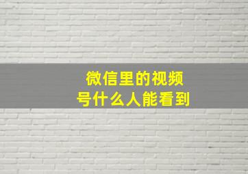 微信里的视频号什么人能看到