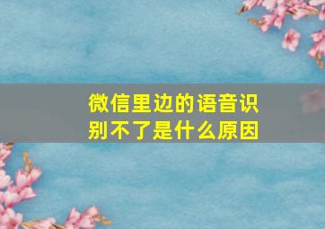 微信里边的语音识别不了是什么原因