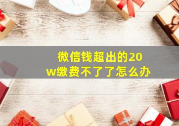 微信钱超出的20w缴费不了了怎么办