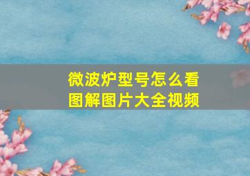 微波炉型号怎么看图解图片大全视频