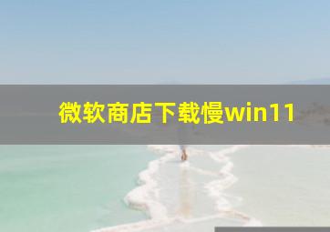 微软商店下载慢win11