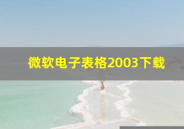 微软电子表格2003下载