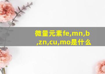 微量元素fe,mn,b,zn,cu,mo是什么