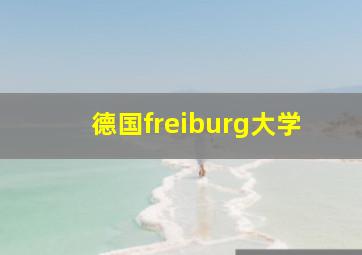 德国freiburg大学