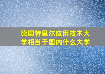 德国特里尔应用技术大学相当于国内什么大学