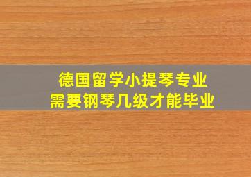 德国留学小提琴专业需要钢琴几级才能毕业