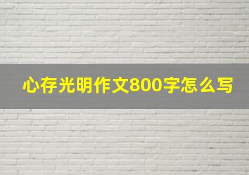 心存光明作文800字怎么写