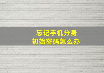 忘记手机分身初始密码怎么办