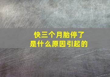 快三个月胎停了是什么原因引起的