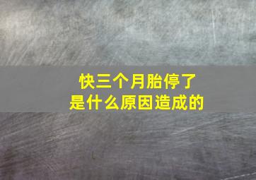 快三个月胎停了是什么原因造成的