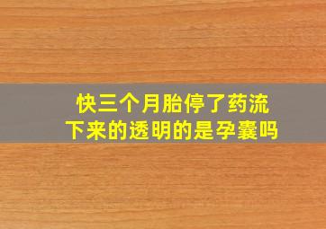 快三个月胎停了药流下来的透明的是孕囊吗