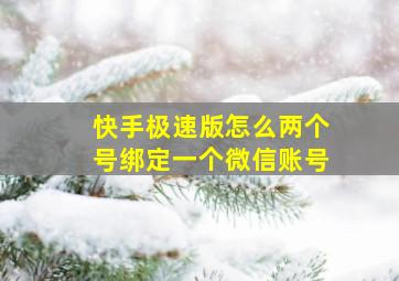 快手极速版怎么两个号绑定一个微信账号