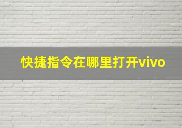 快捷指令在哪里打开vivo