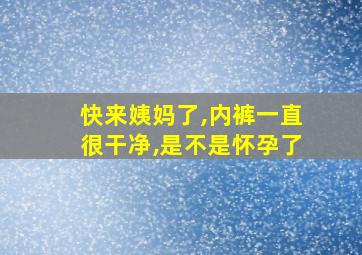 快来姨妈了,内裤一直很干净,是不是怀孕了