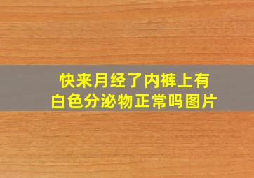 快来月经了内裤上有白色分泌物正常吗图片