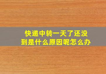 快递中转一天了还没到是什么原因呢怎么办