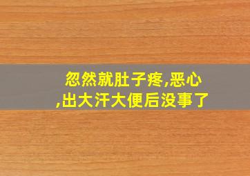 忽然就肚子疼,恶心,出大汗大便后没事了