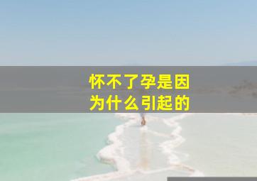 怀不了孕是因为什么引起的