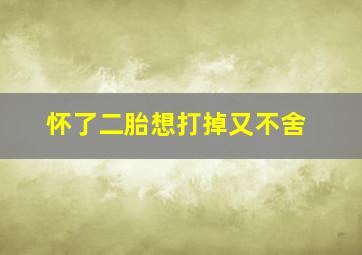 怀了二胎想打掉又不舍