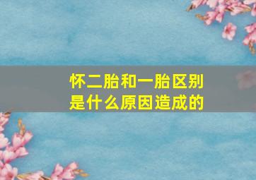 怀二胎和一胎区别是什么原因造成的