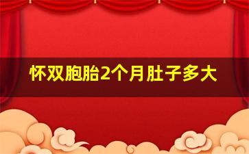 怀双胞胎2个月肚子多大