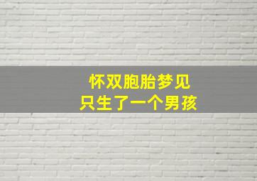 怀双胞胎梦见只生了一个男孩