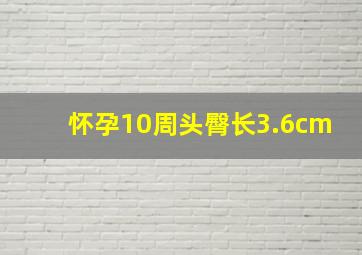 怀孕10周头臀长3.6cm