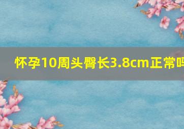 怀孕10周头臀长3.8cm正常吗