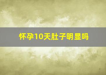 怀孕10天肚子明显吗