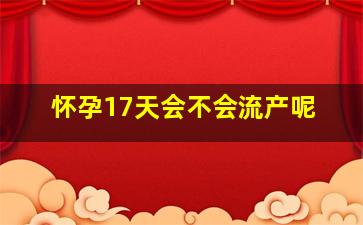 怀孕17天会不会流产呢