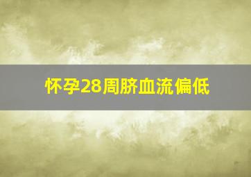 怀孕28周脐血流偏低