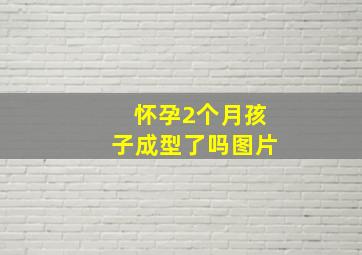 怀孕2个月孩子成型了吗图片