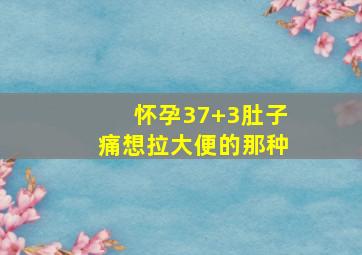 怀孕37+3肚子痛想拉大便的那种