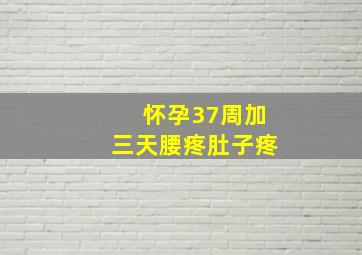 怀孕37周加三天腰疼肚子疼