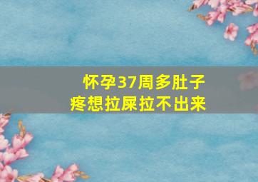 怀孕37周多肚子疼想拉屎拉不出来