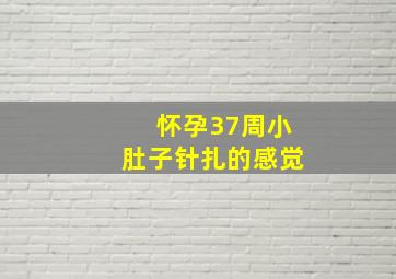 怀孕37周小肚子针扎的感觉