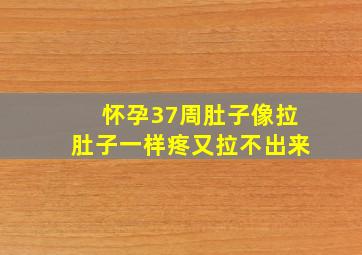 怀孕37周肚子像拉肚子一样疼又拉不出来