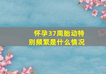 怀孕37周胎动特别频繁是什么情况